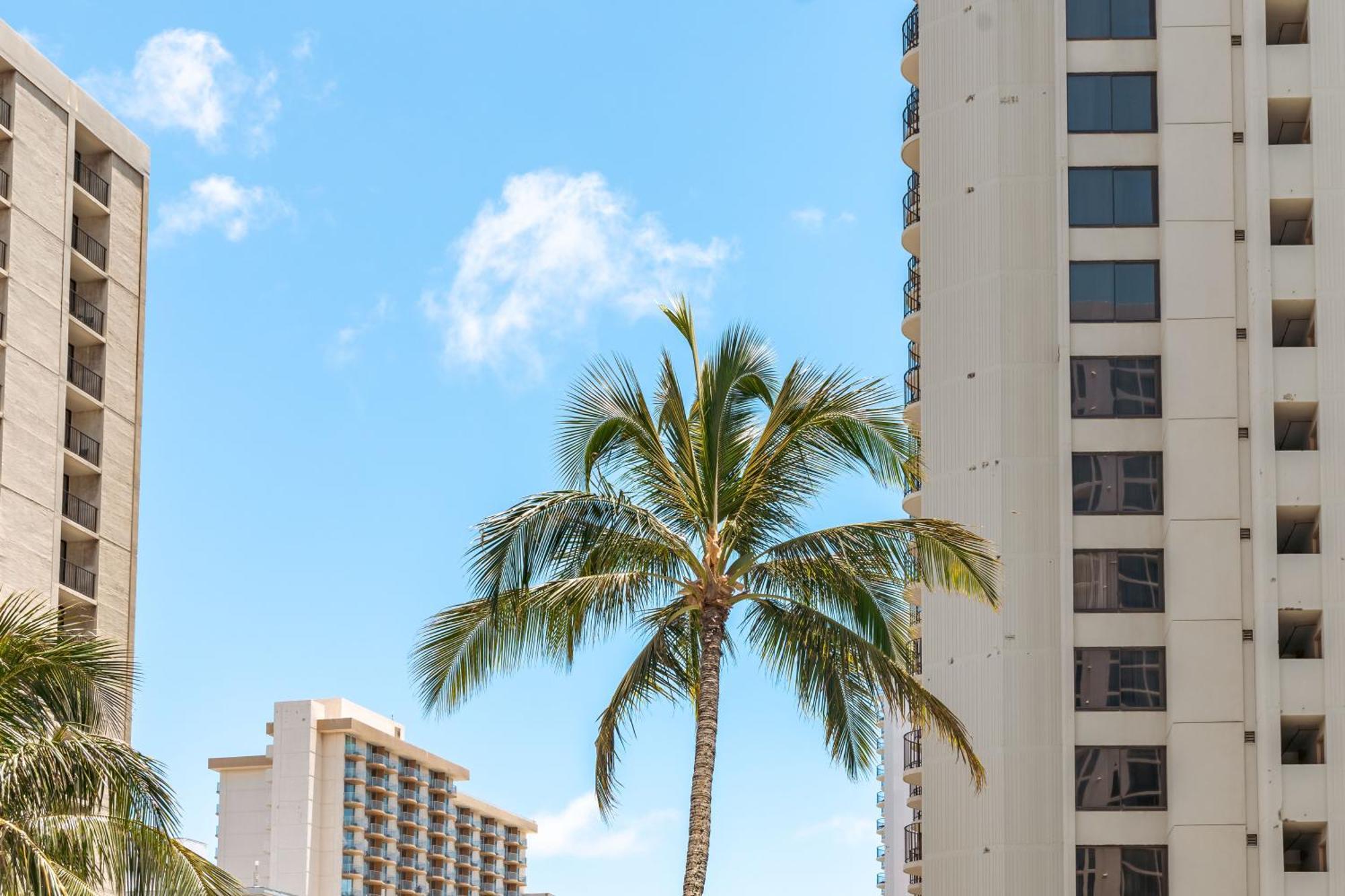 Cozy Waikiki Getaway, Stroll To Beach With Free Parking Гонолулу Екстер'єр фото