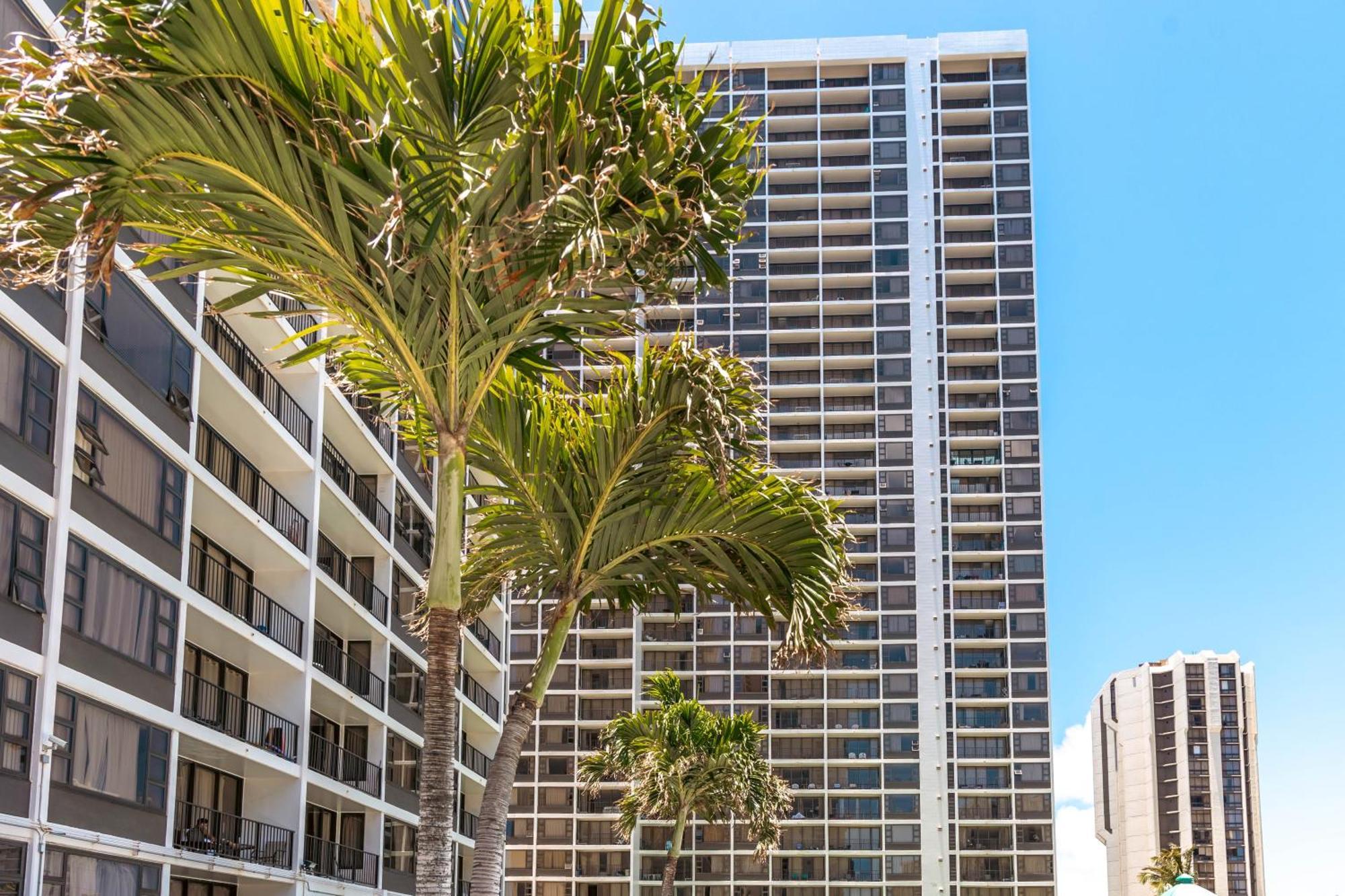 Cozy Waikiki Getaway, Stroll To Beach With Free Parking Гонолулу Екстер'єр фото