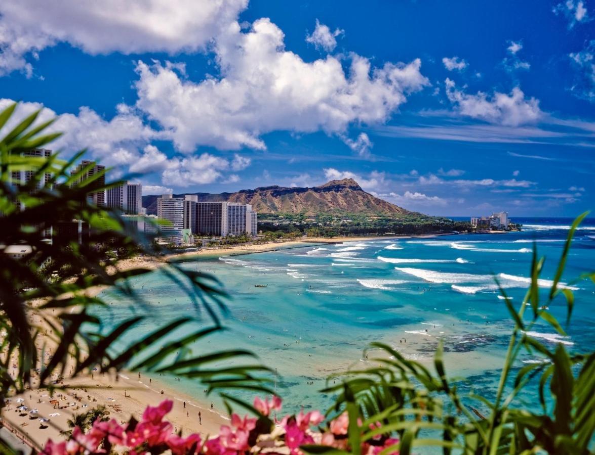 Cozy Waikiki Getaway, Stroll To Beach With Free Parking Гонолулу Екстер'єр фото