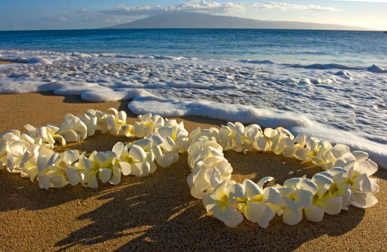 Cozy Waikiki Getaway, Stroll To Beach With Free Parking Гонолулу Екстер'єр фото